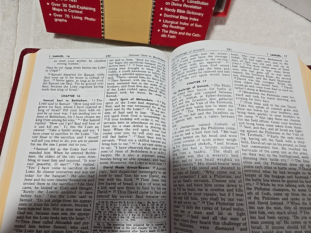 NEW AMERICAN BIBLE SAINT JOSEPH EDITION Large Type, Open Box