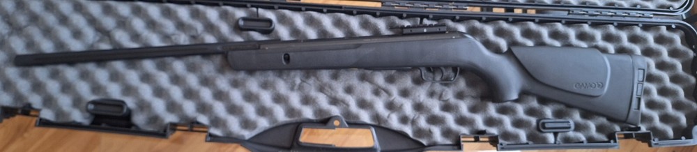 Gamo Big Cat 1250