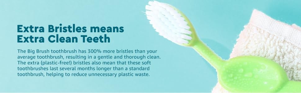 Toothbrush Big Brush with Replaceable Brush Head ADA