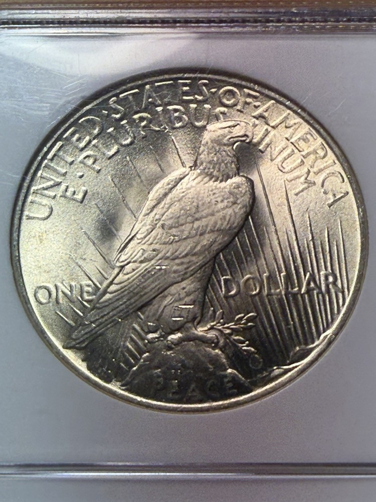 1925 Peace Dollar - NGC MS64 - PQ Gem - As Shown!