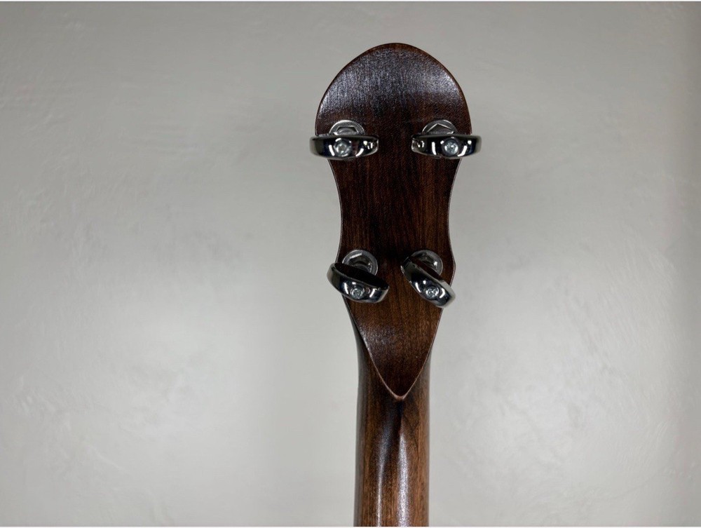 5-String Open-Back Banjo with Case in Excellent Condition, Nylon Strings