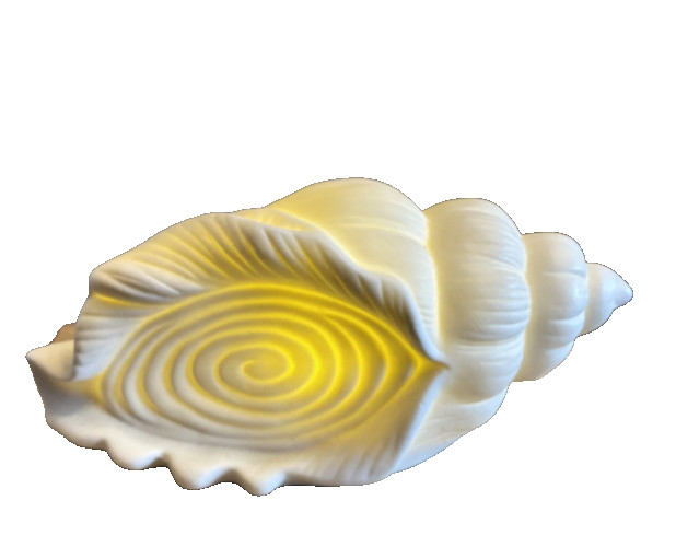 2 Light Up Ceramic Seashells and 2 Light Up Ceramic Starfish