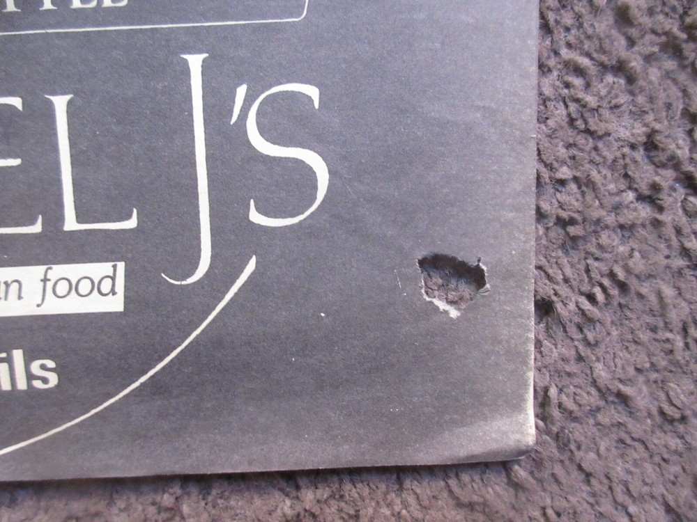 THE ALLIES (SEATTLE) 11x18 MICHAEL J's 1982 GIG POSTER RARE ("EMMA PEEL" VID) GD