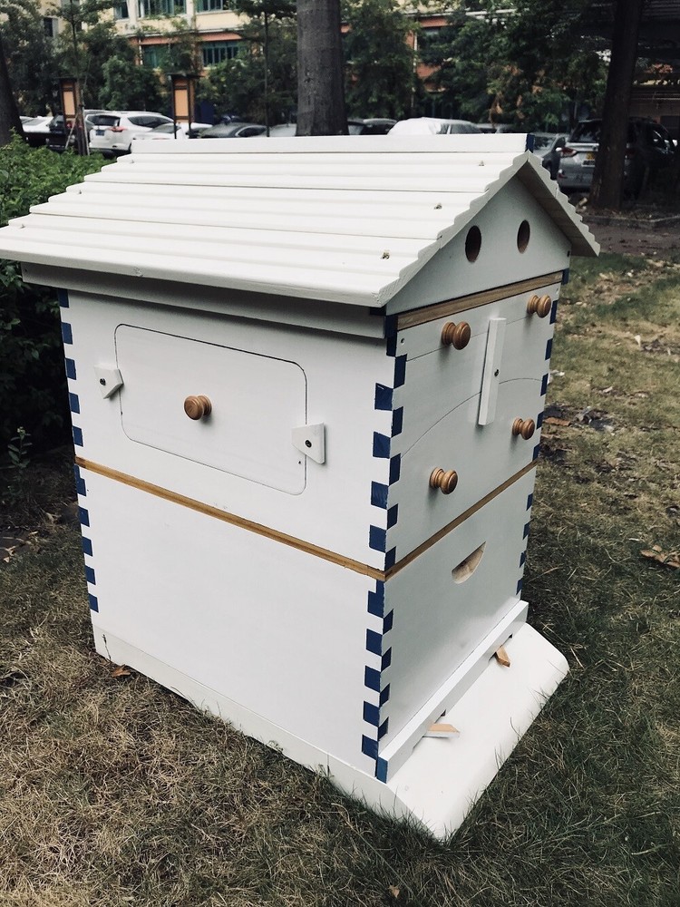 Big Auto Seep Beehive Honey Bee Hive Box Beekeeping Boxes + 7xPlastic Bee Frames