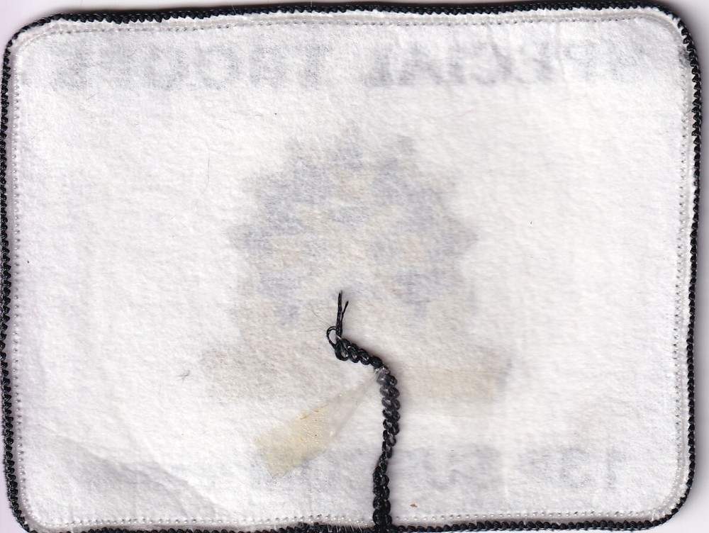 13th SUPCOM Corps Special Troops patch small batch silkscreen US Army Cold War