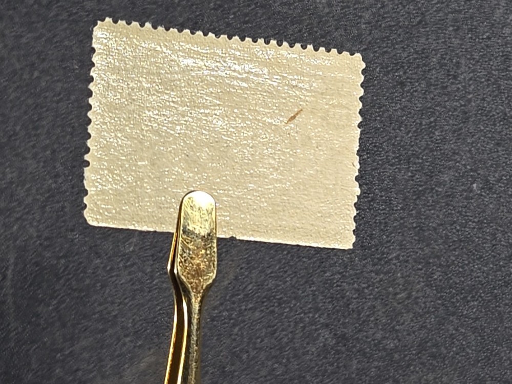 1892 U.S. 10 cent Columbian- Scott# 237 - Mint, NEVER hinged stk#MN2