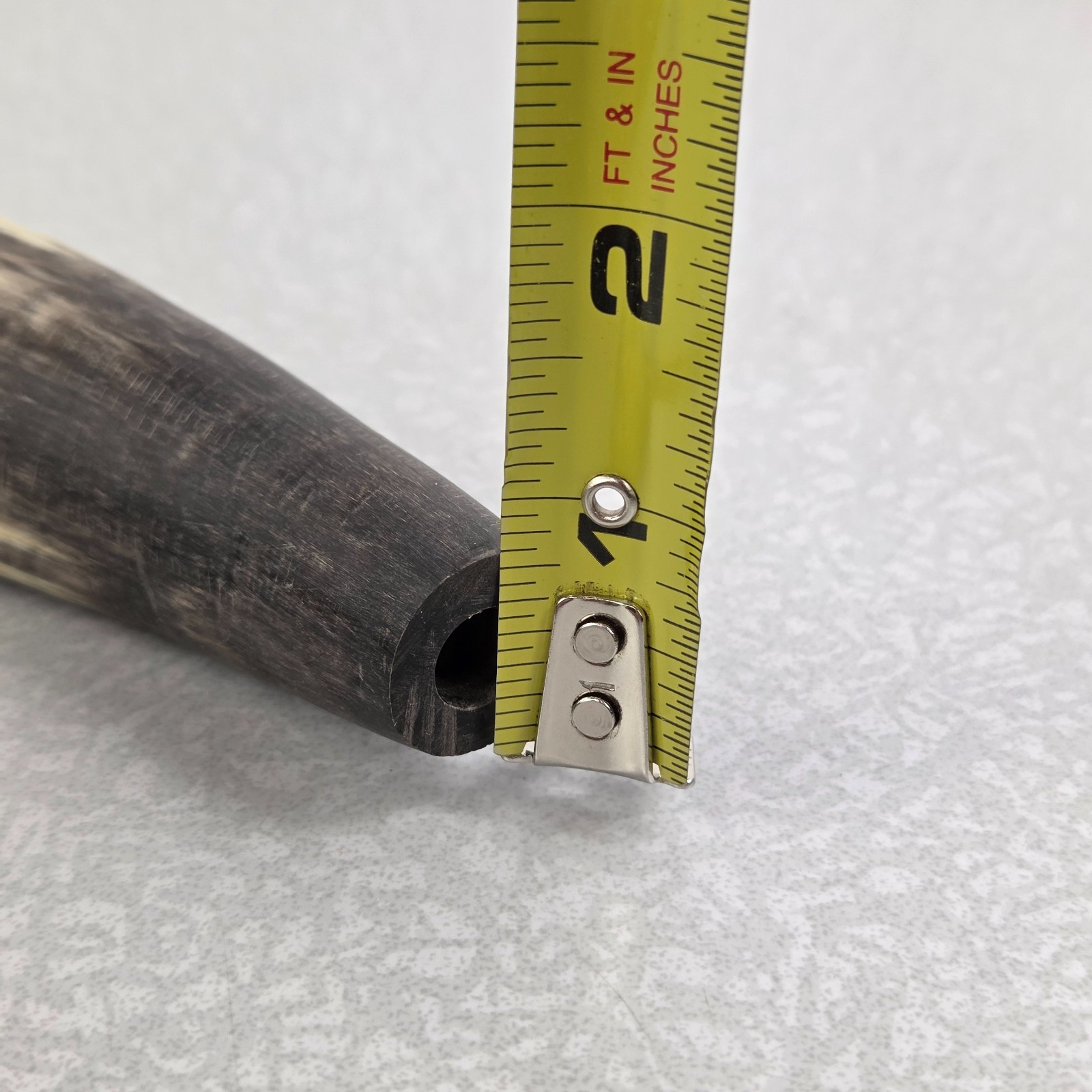 Powder Horn Natural Animal Horn Rustic Hunting Decor Prop Decorative 8"