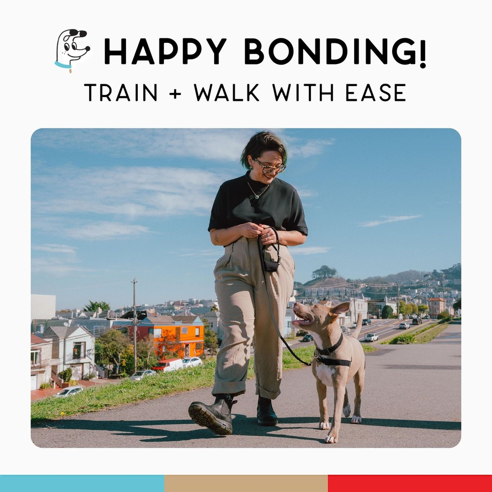 No Pull Dog Harness | Comfortable Training Harnesses | Effective No Pull Harn...