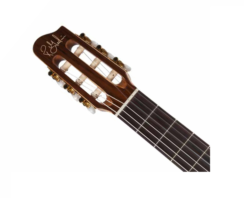 Godin Presentation Nylon String Guitar - Open Box