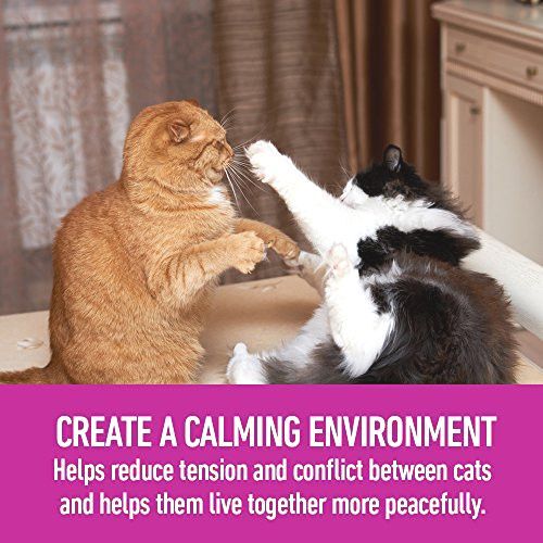 Comfort Zone Multicat Diffuser Kit for Cat Calming