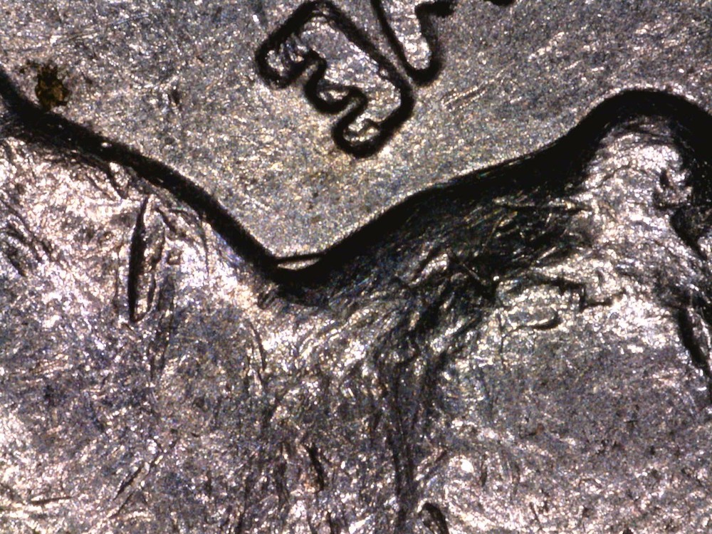 1982 D Washington Quarter DDO