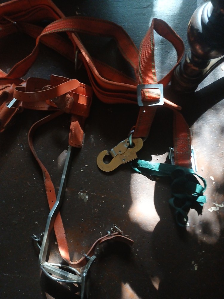 tree climbing gear used