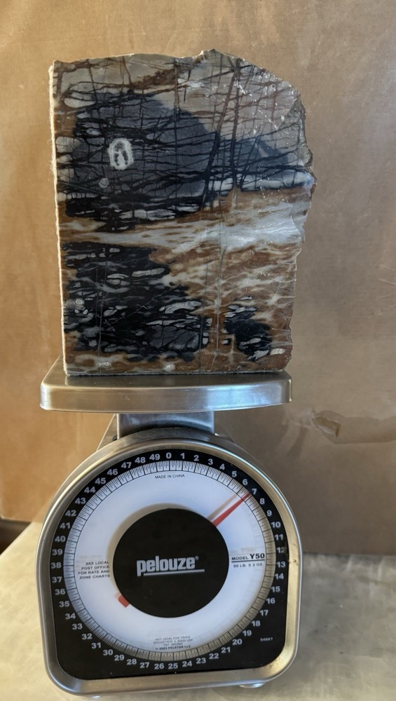 Polish Display / Single Bookend Picasso Jasper.