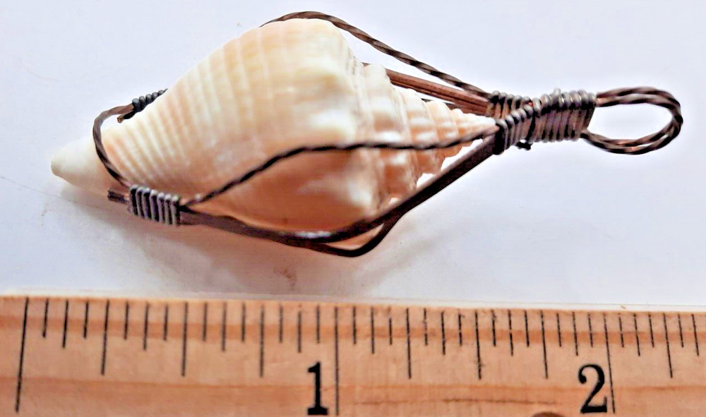 Small Conch Shell Wire Wrap 1 3/4 inches
