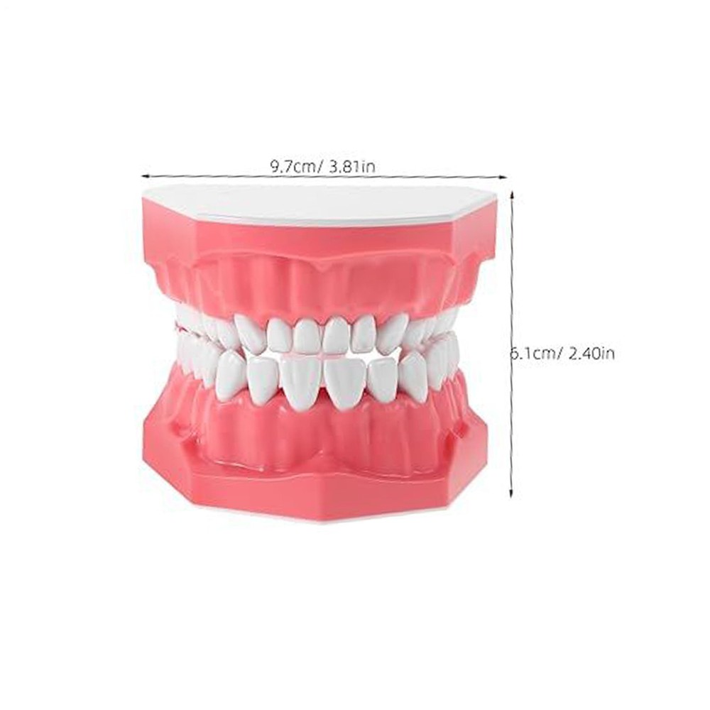 Interactive Tooth Brushing Model for Educational Training with Toothbrush