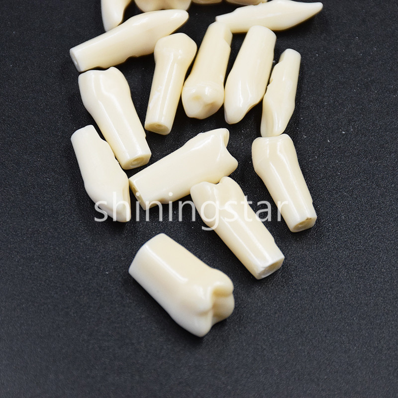 NEW Dental Teeth Model Demonstration Resin Practice Teach Study Models 28 Pcs