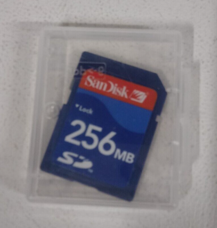 SanDisk 256 MB Memory Card And Case