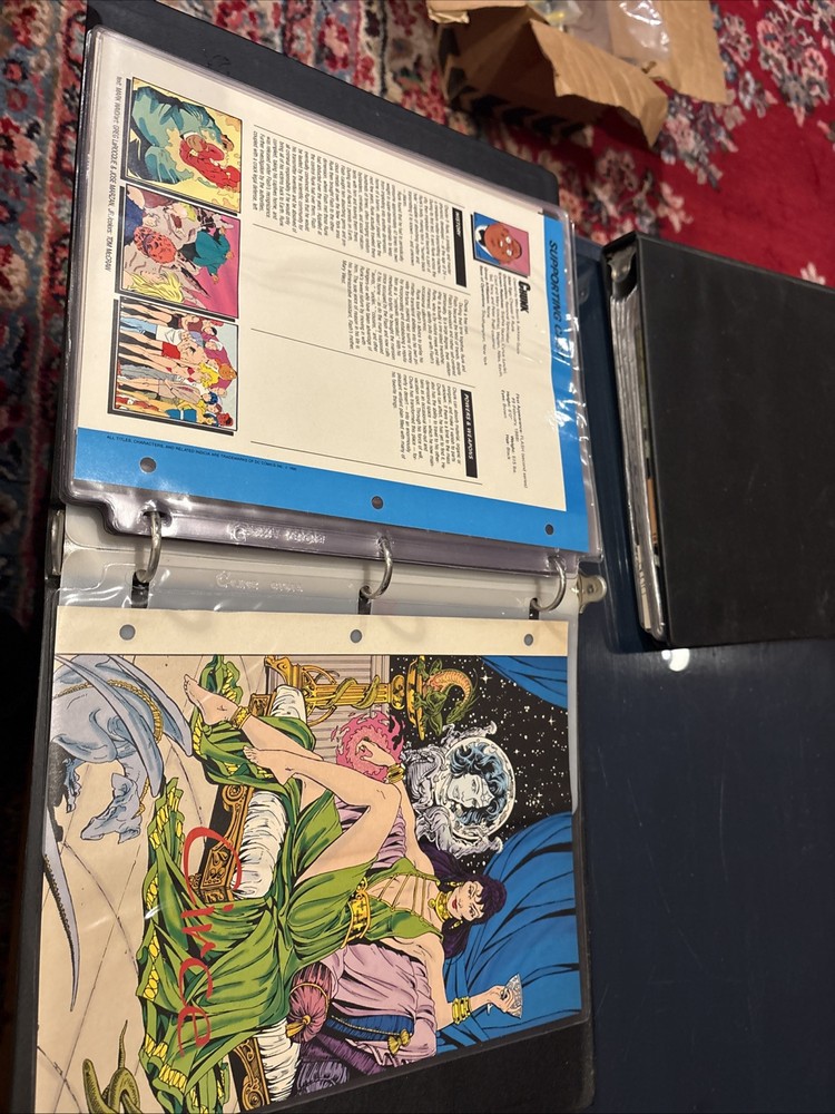 Comic Book Bio Binder