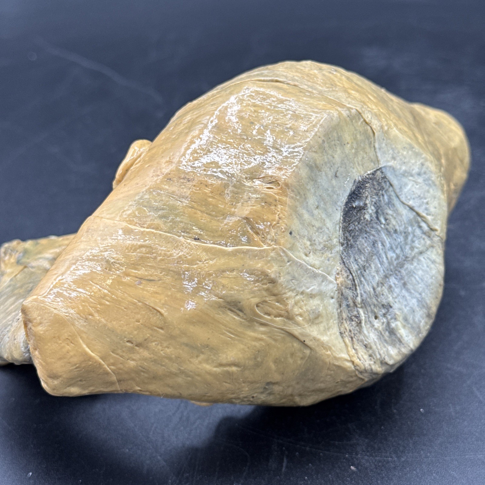 Folk Art Dueling Donkey Ashtray