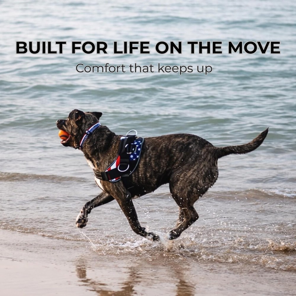 No-Pull Harness for Dogs - Adjustable, Reflective, Medium, Pacific Blue