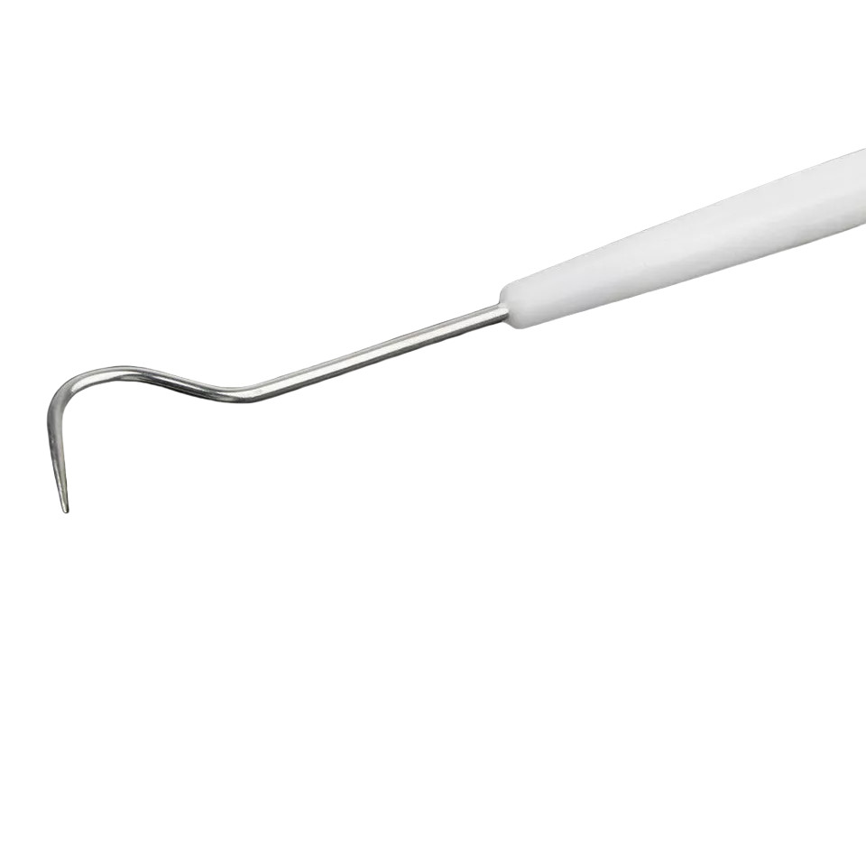 10 Pcs Dental Teeth Explorer Double End Instrument Probe Hook Basic Instruments