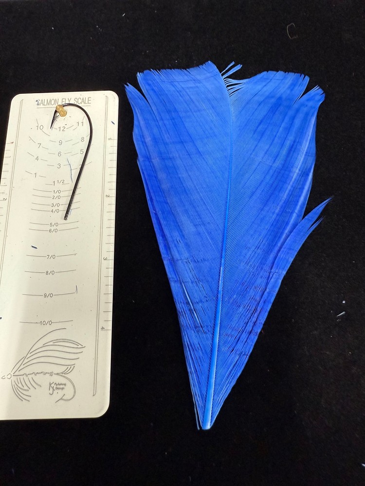 Dyed Turkey Center tail Feathers