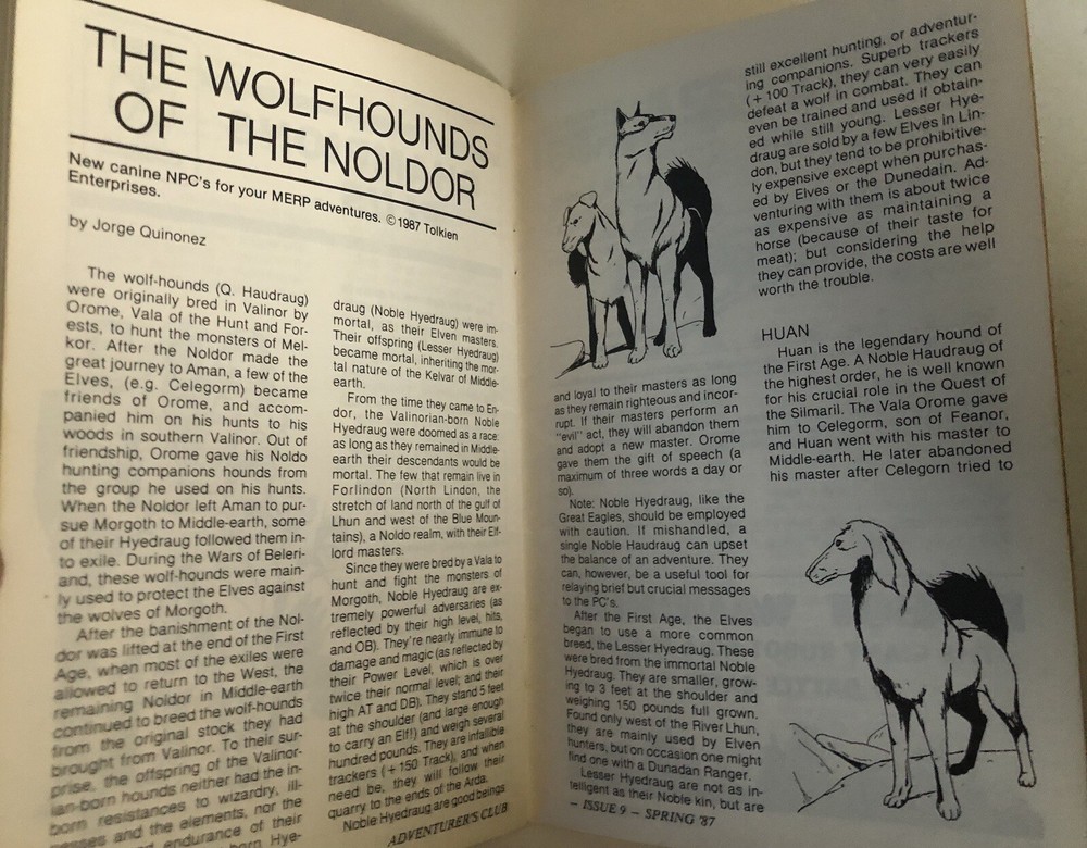 Role Playing Magazines