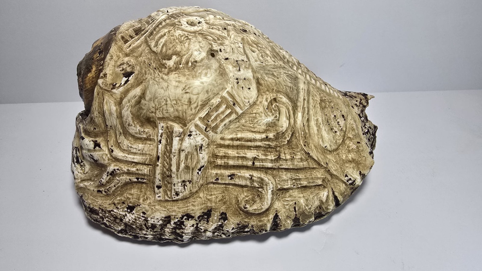 Precolumbian Mayan Snail With Ceremonial Glyph 700 AD 1200 AD