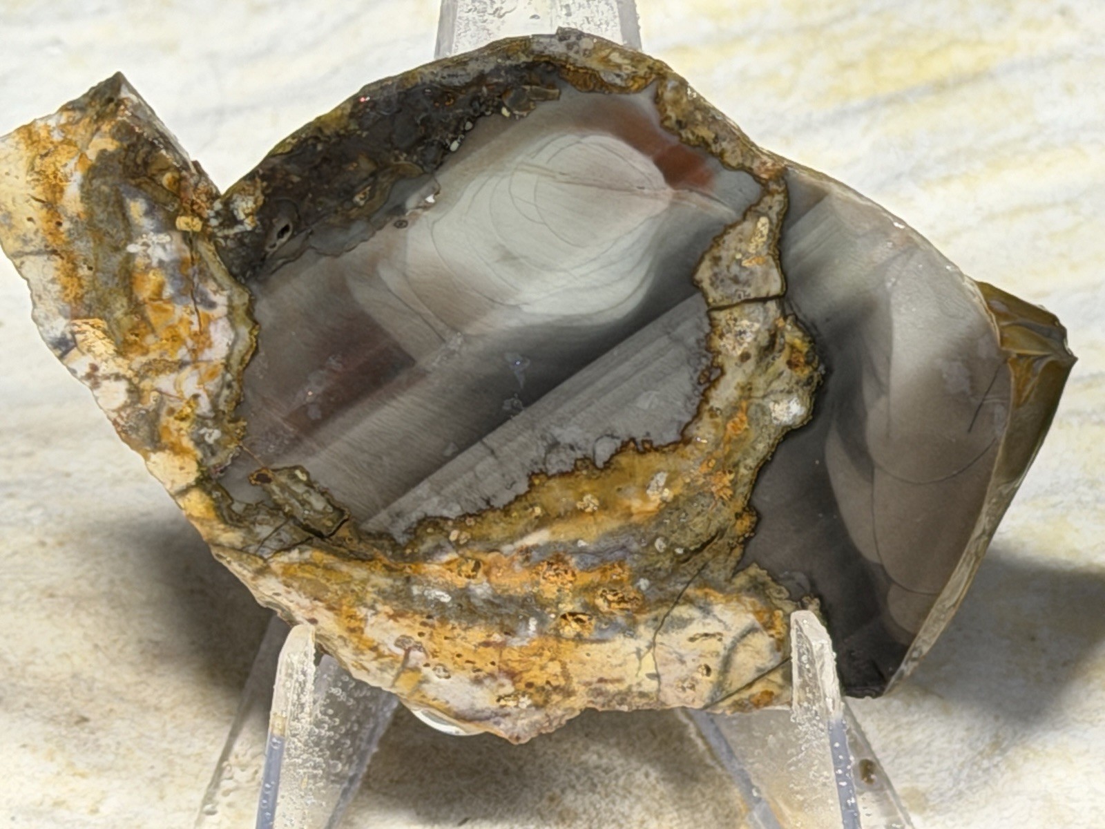 Whiskey Creek Jasper Slab Set, Lot #311