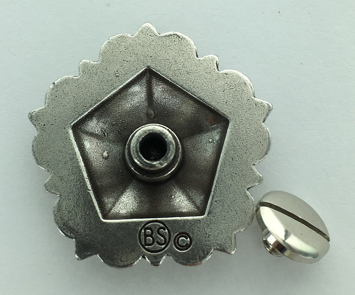 WESTERN HORSE SADDLE TACK ANTIQUE FLORAL ENGRAVED PENTAGON CONCHO screw back