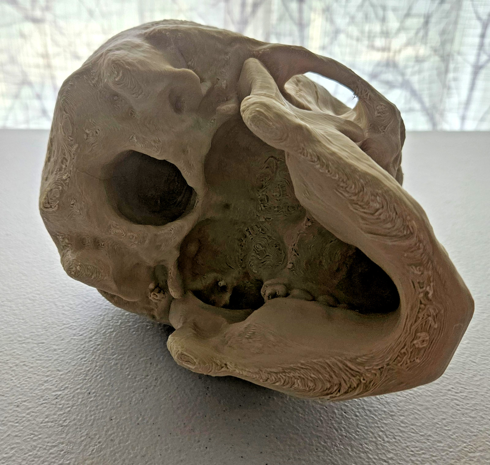 Large 3D Printed Human Skull 8 inch • Bone Color • Realistic Artistic Model