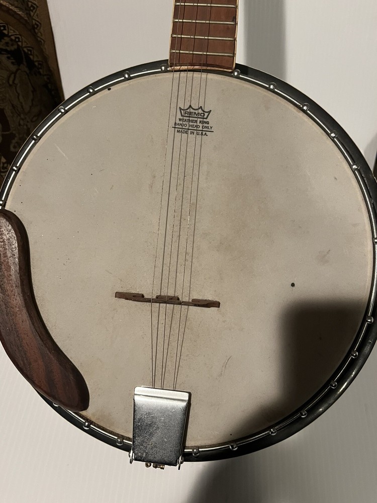 Remo Weather King Banjo Head Only