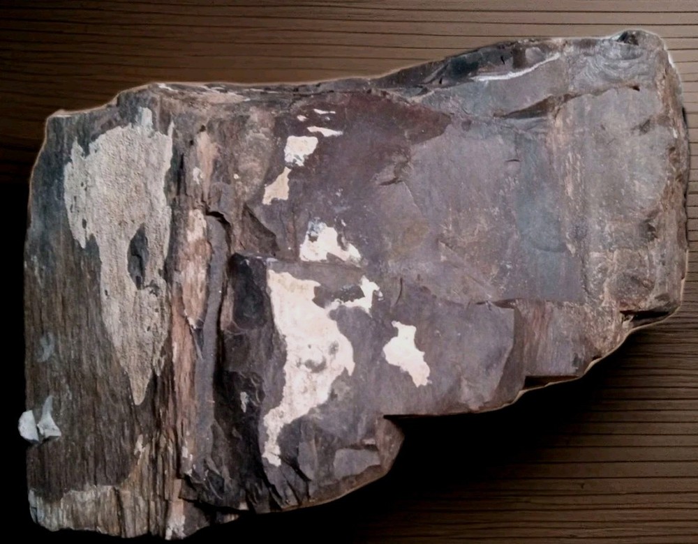 Petrified Wood Fossilized Rough 5 lbs