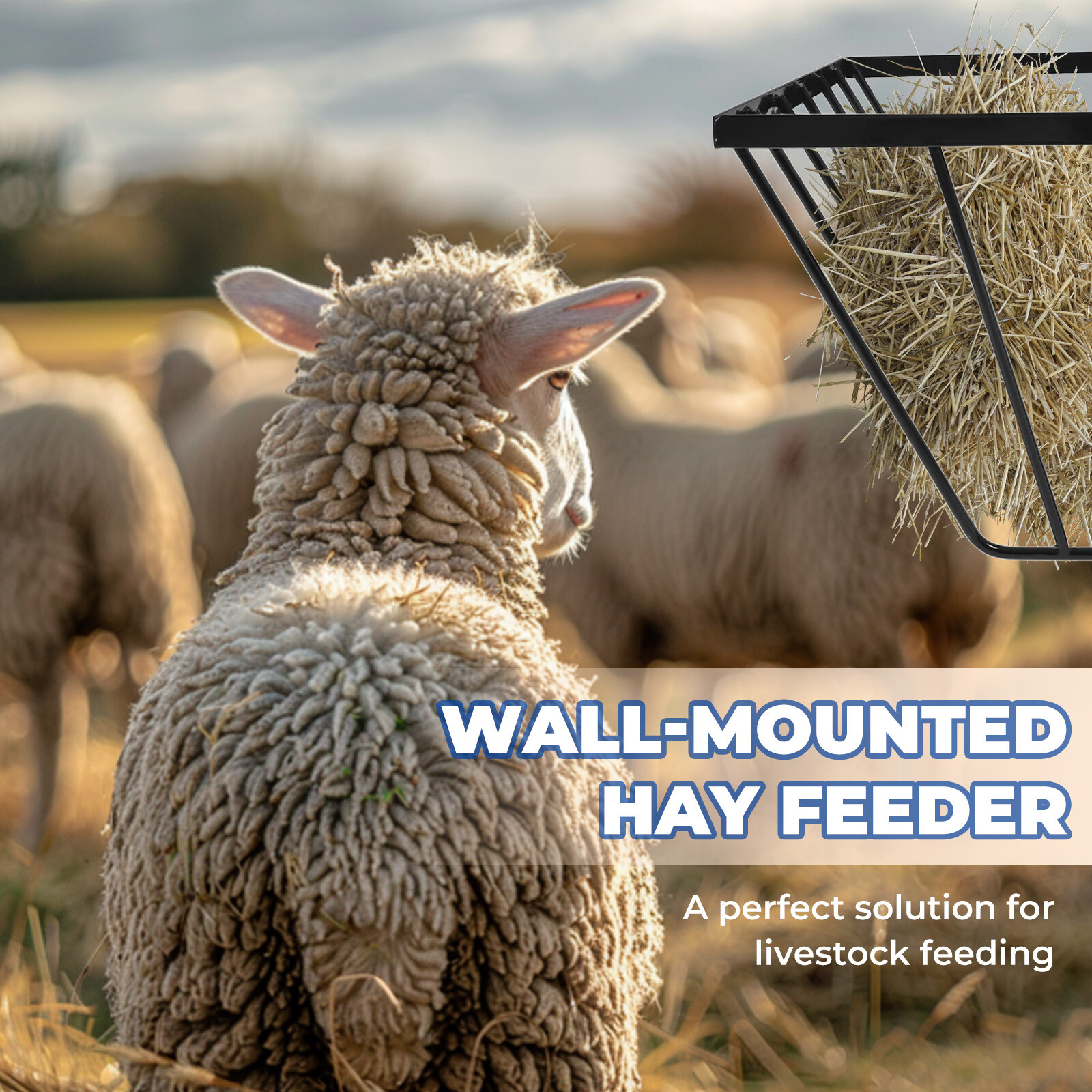 Premium Quality Hay Feeder Rack Wall Mounted Horse Feed Bucket Livestock Feeder