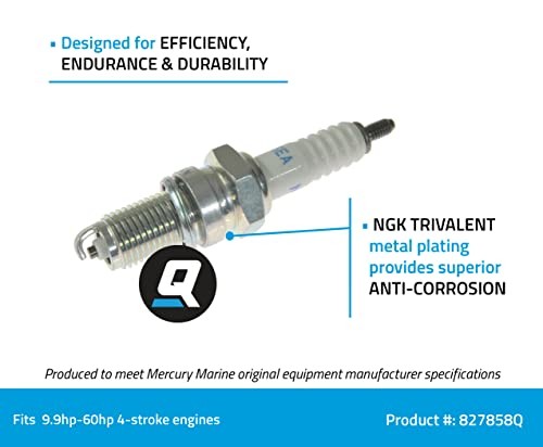 827858Q NGK DPR6EA-9 Standard Spark Plug, 1-Pack