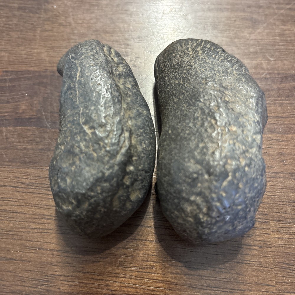 (2) 3 Inch Fossilized Whale Ear Bones