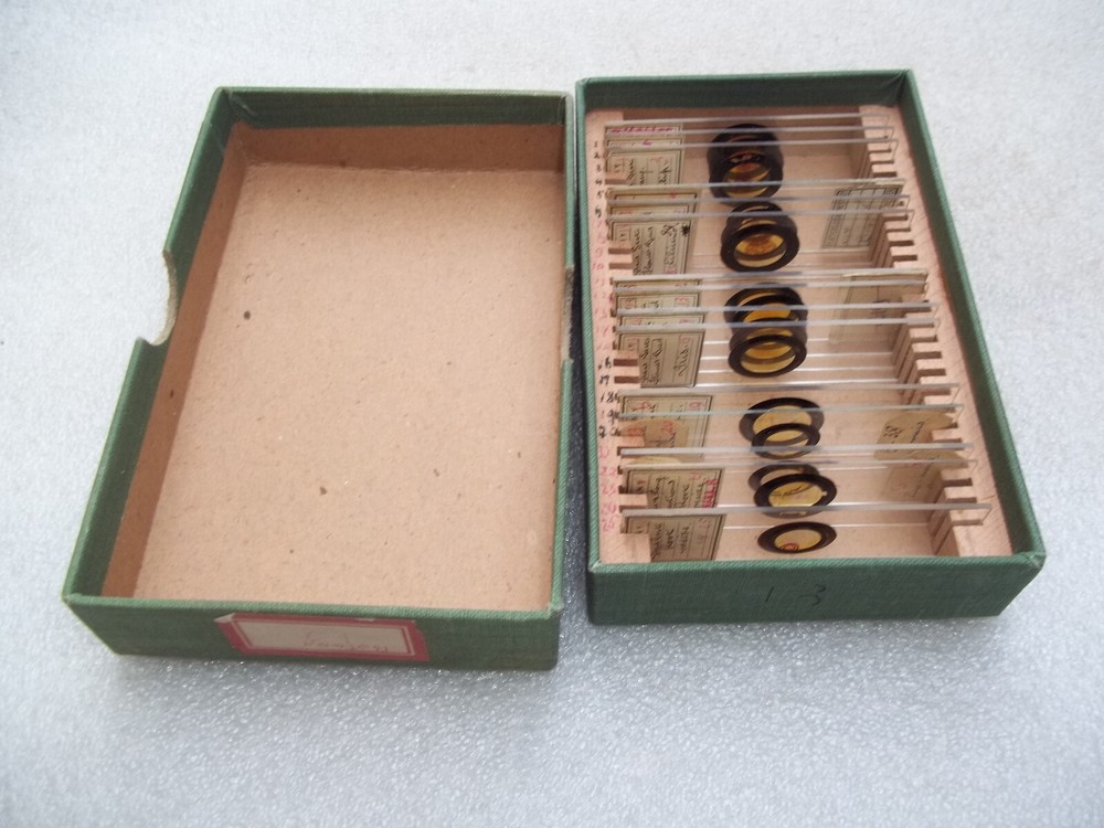 Vintage Glass Microscope Slides -