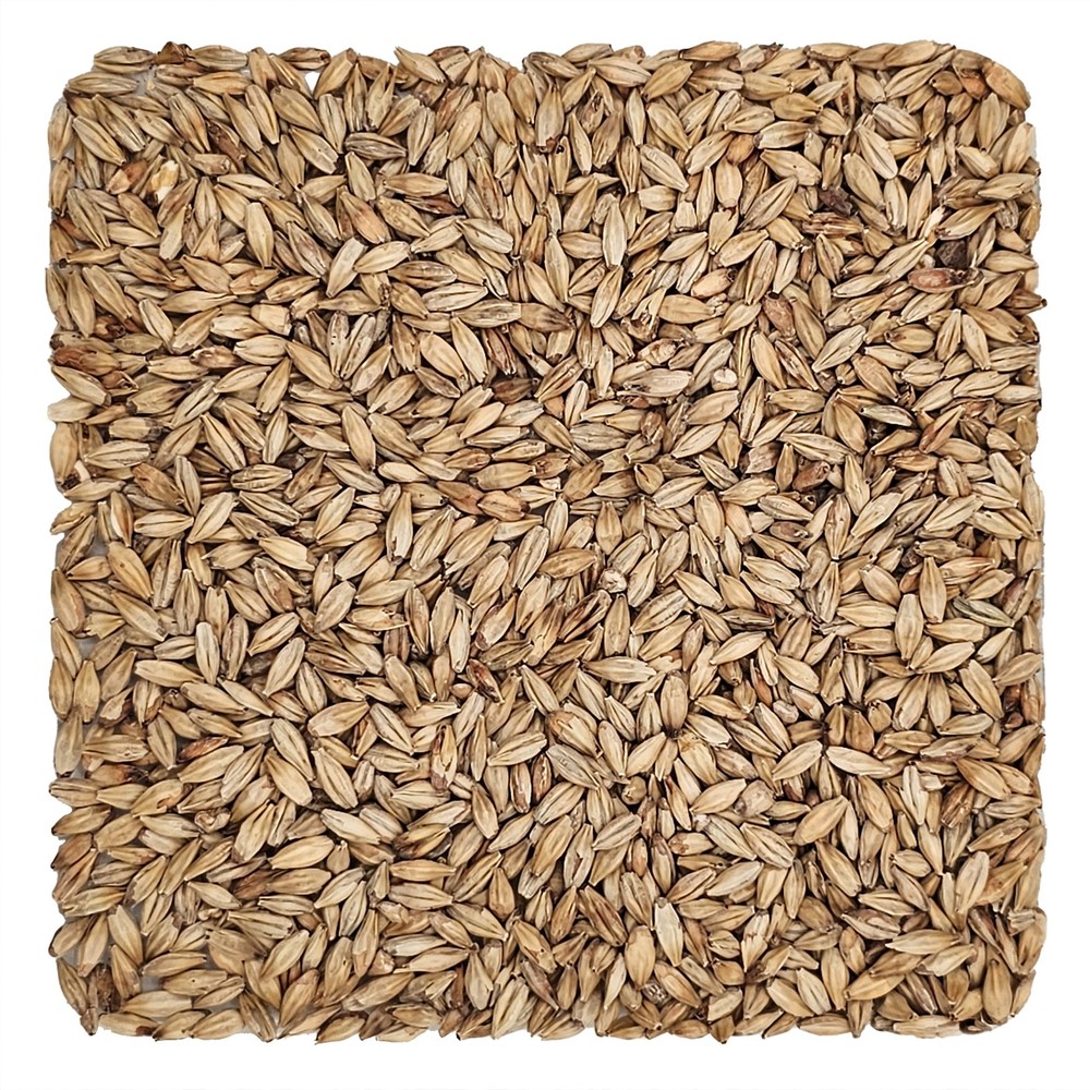 Home Brew Ohio Abbey Grain 1lb