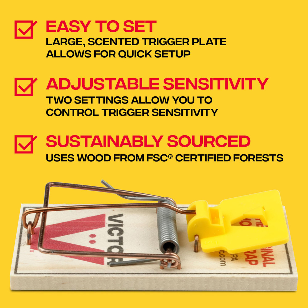 Mouse Traps - 16 Pack