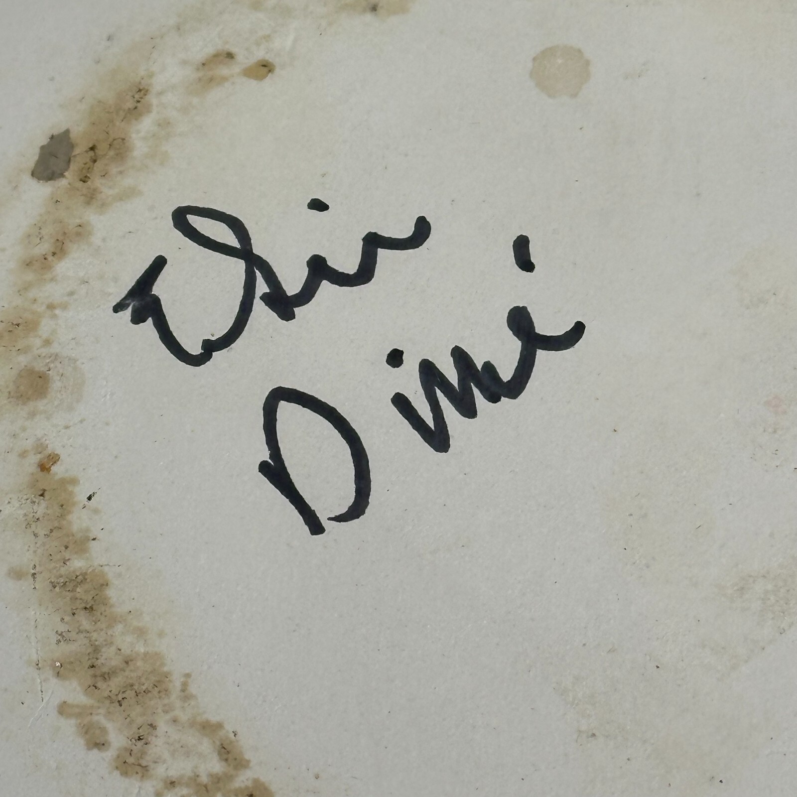 Navajo Pottery Bowl Hand Painted Forest Scenes - Signed