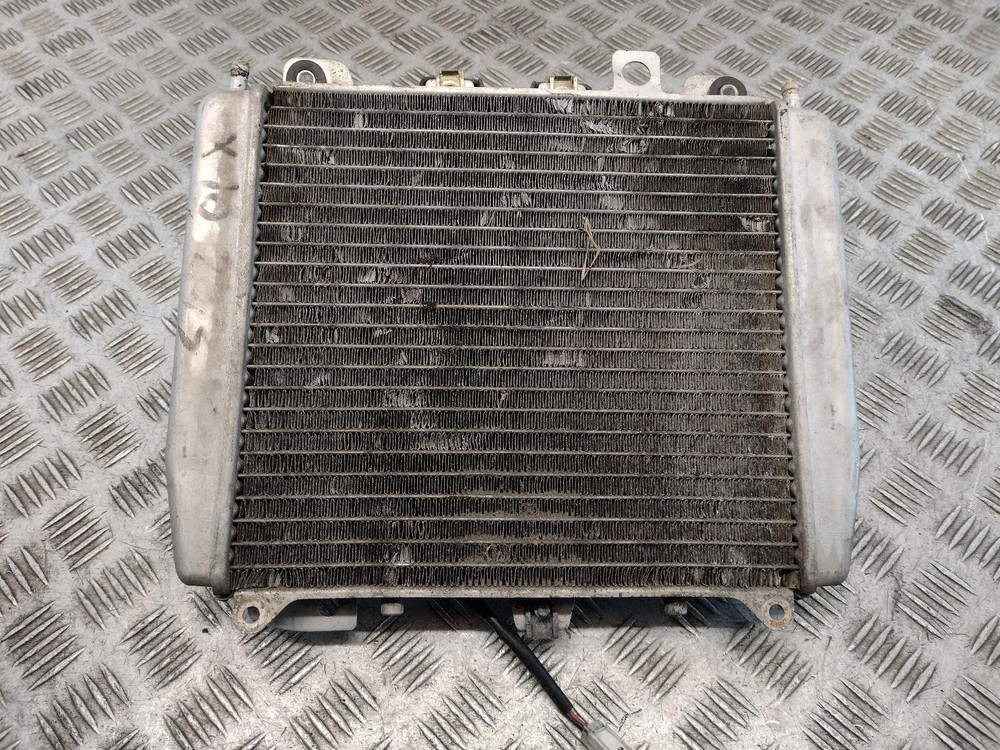 2013 PIAGGIO X10 350 Radiator