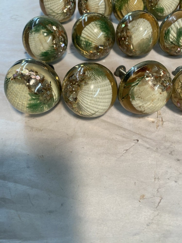 15 Vintage Fancy Round Seashell Drawer Pulls w/ Screws