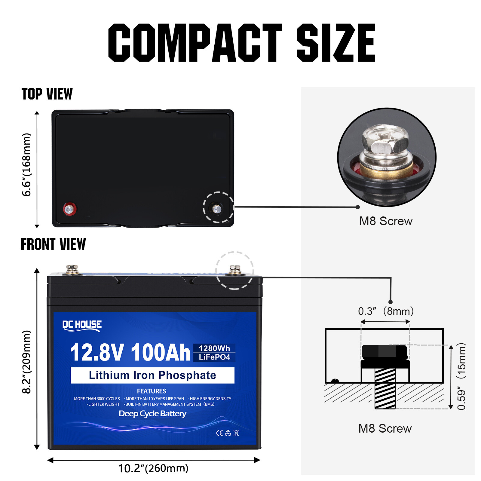 12V 100Ah LiFePO4 Lithium Battery 100A BMS for RV Off-grid Trolling Motor Solar