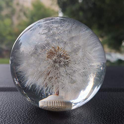 Sakali Gear Shift Knob Crystal Ball with Dandelions Flowers Car Shift Knobs