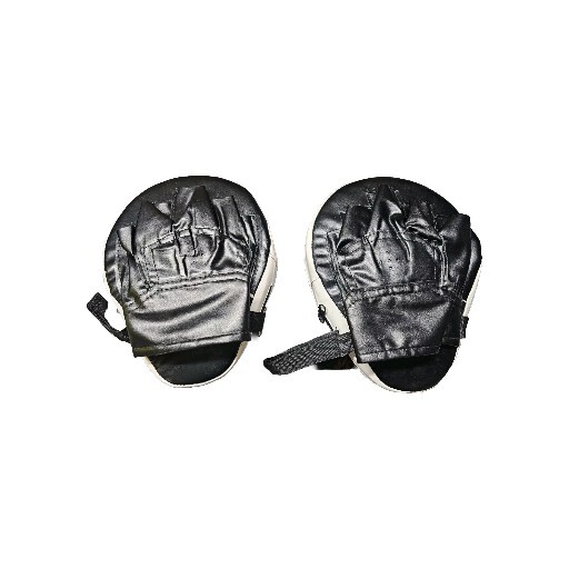 boxing mitts training