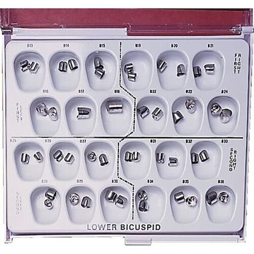 Lower Bicuspid Stainless Steel, Left Lower First, B16, 3/Pkg