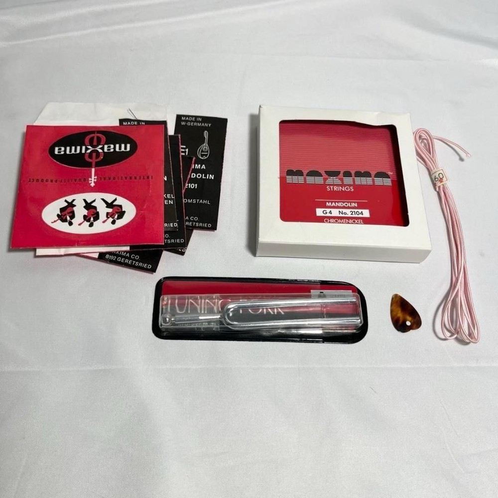 Mandolin Raffaele Calace Type15 raffaele calace