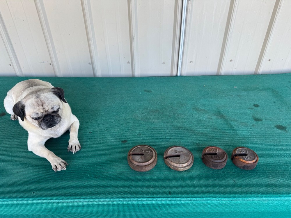 4 Miscellaneous Antique Cast Iron Weights 5, 10 Lbs
