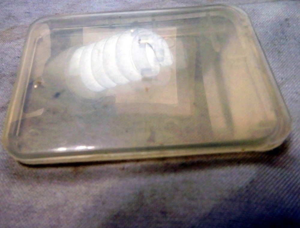 Plastic Case for Sandisk SD and Micro SD memory card