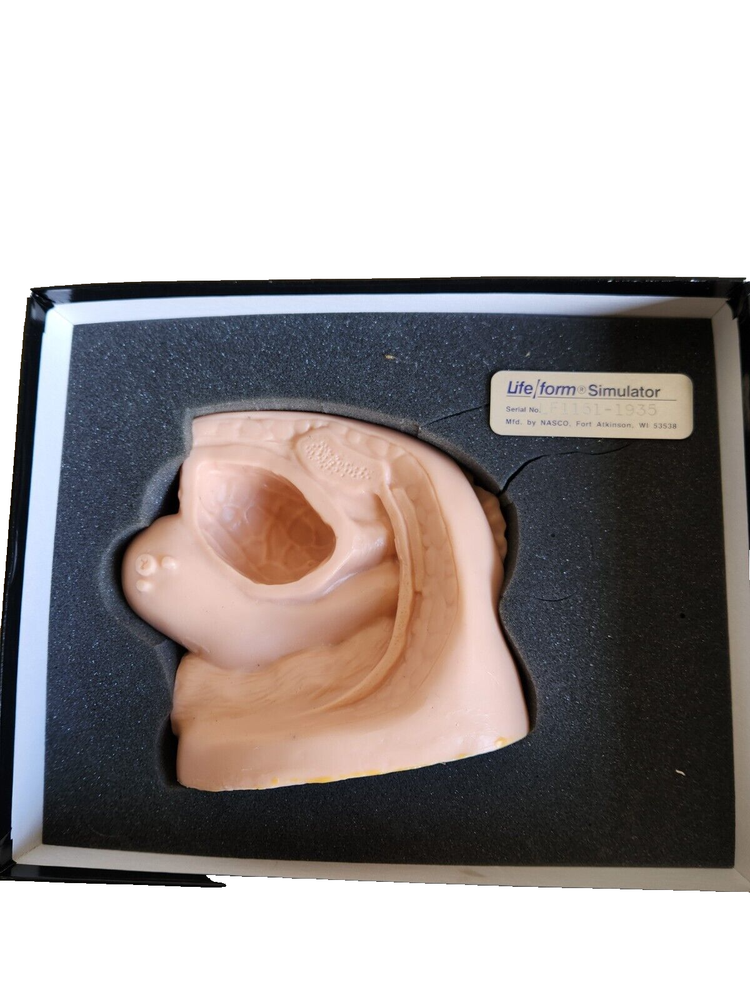 Nasco Life/Form LF01151 Vaginal Simulator